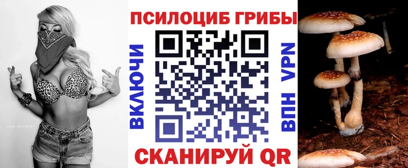 Галлюциногенные грибы Psilocybine cubensis  Нягань 